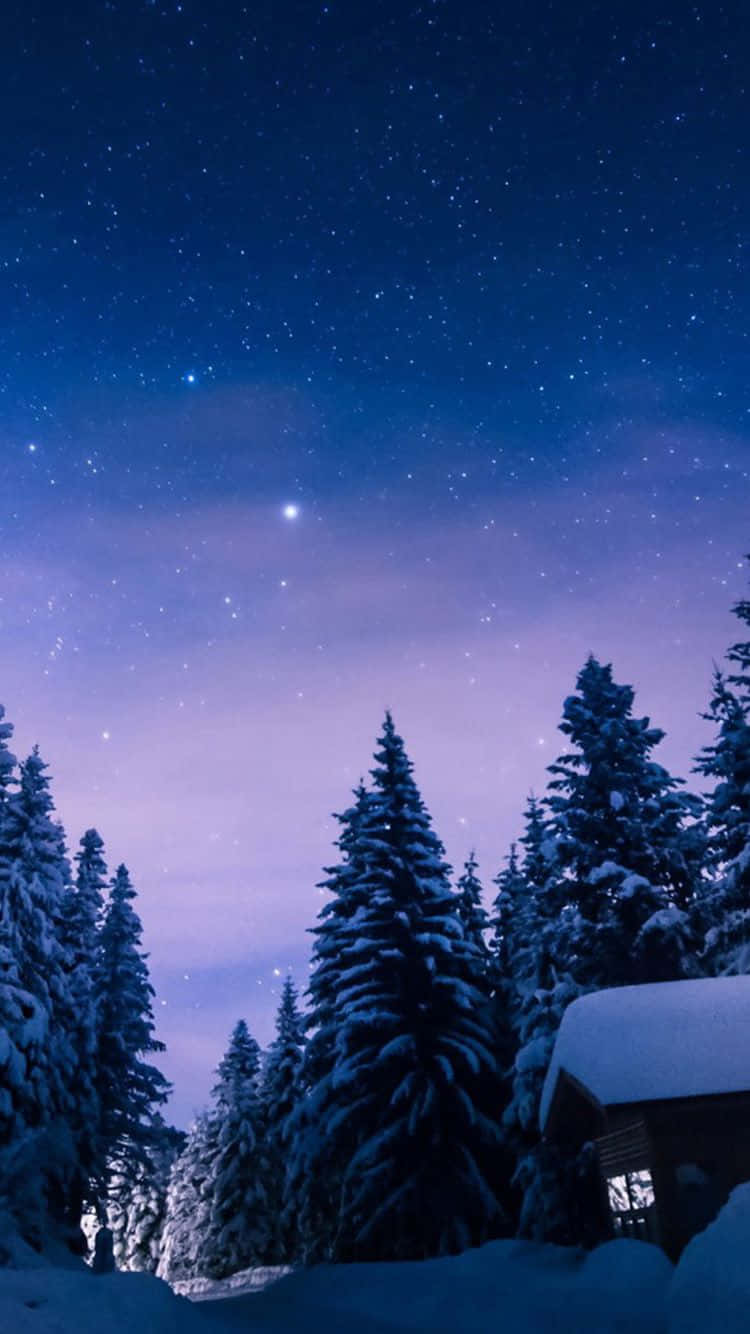 Take in the beauty of winter with the Iphone 6 Plus Wallpaper