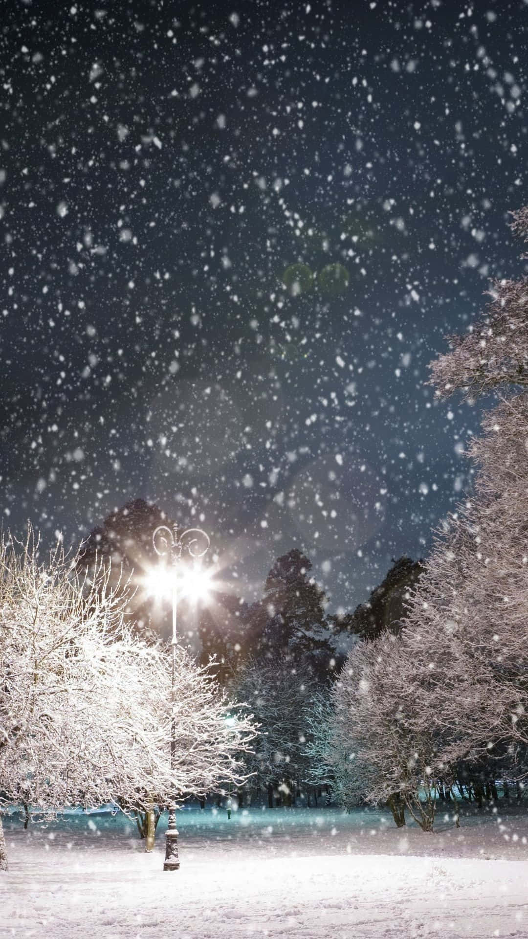 Bildgenießen Sie Die Schönheit Des Winters Mit Einem Iphone 6 Plus. Wallpaper