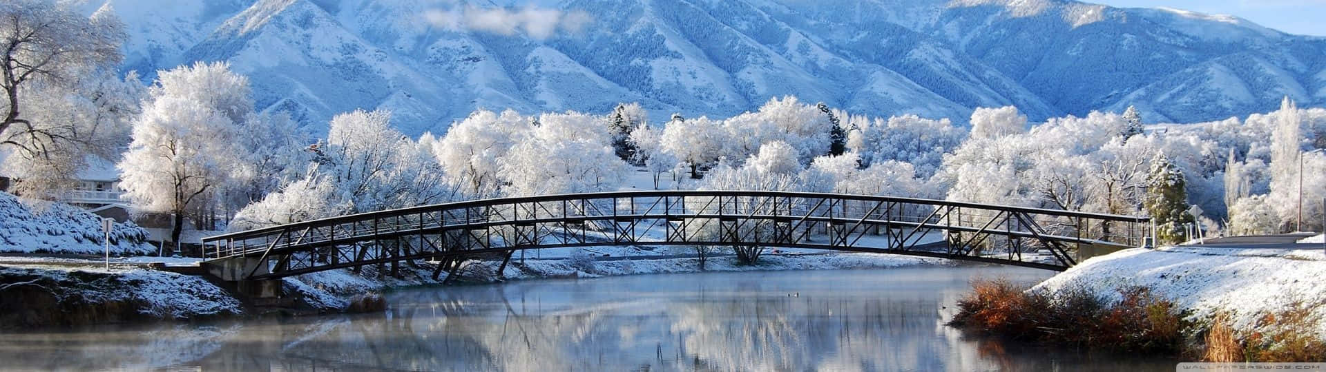 Abrígatecon Tu Ordenador Portátil Este Invierno Fondo de pantalla