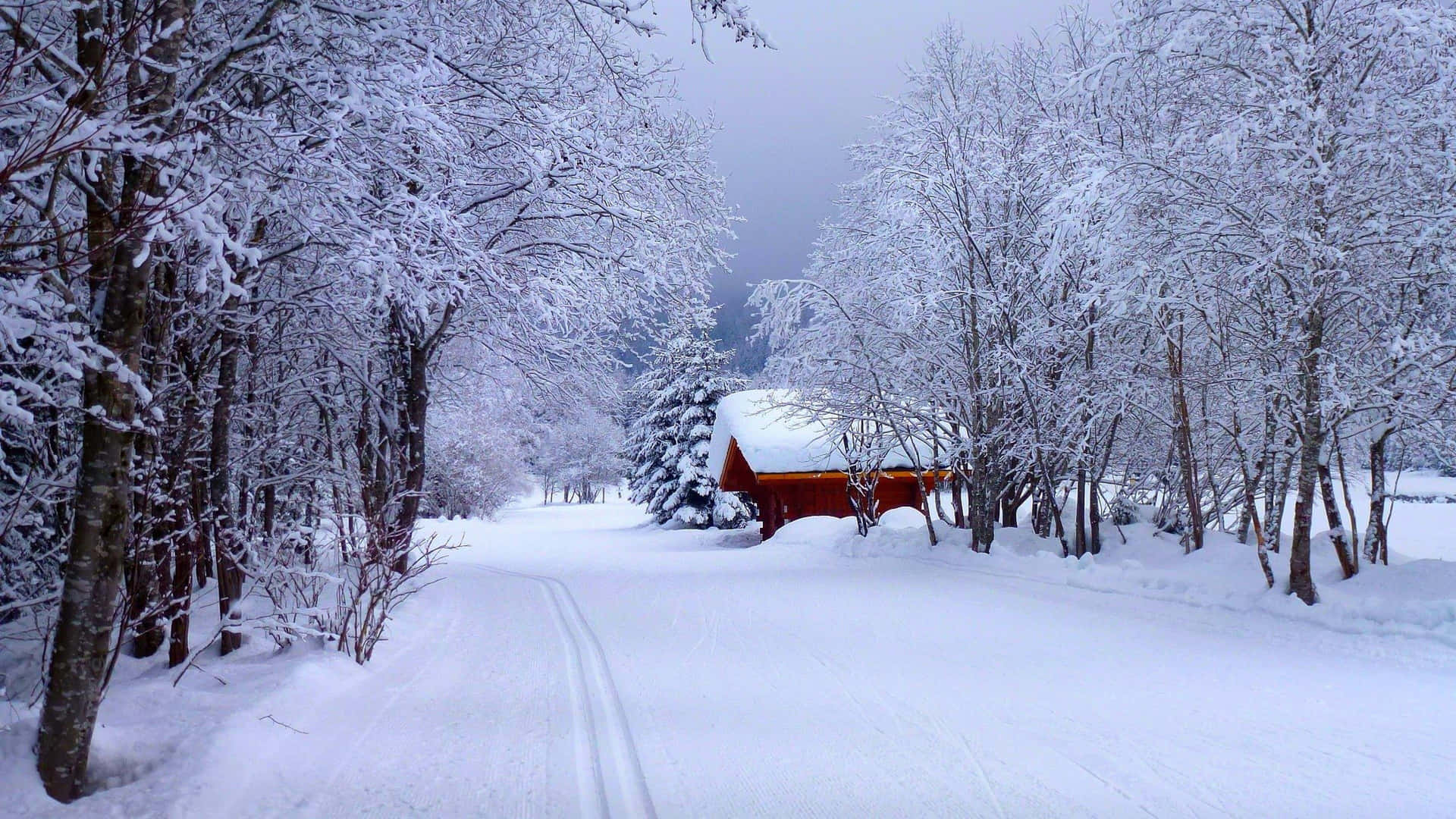 Disfrutatrabajando En Tu Laptop Durante El Invierno. Fondo de pantalla