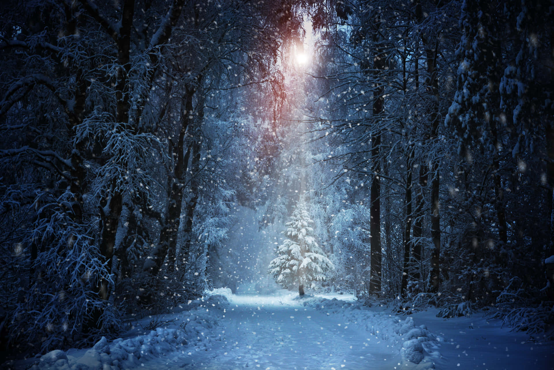 A Snowy Forest With A Christmas Tree In The Middle Wallpaper
