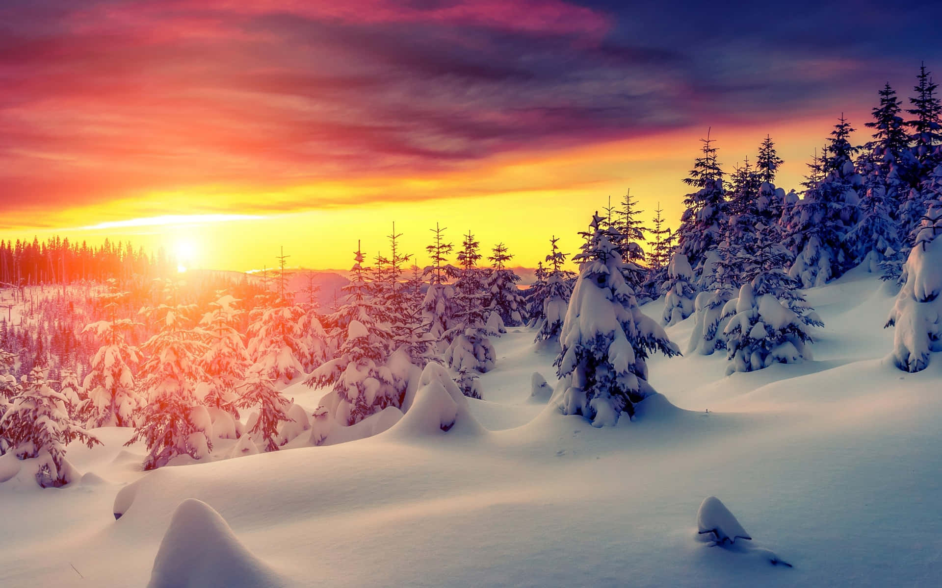 A Snow Covered Forest With A Sun Setting Behind It Wallpaper