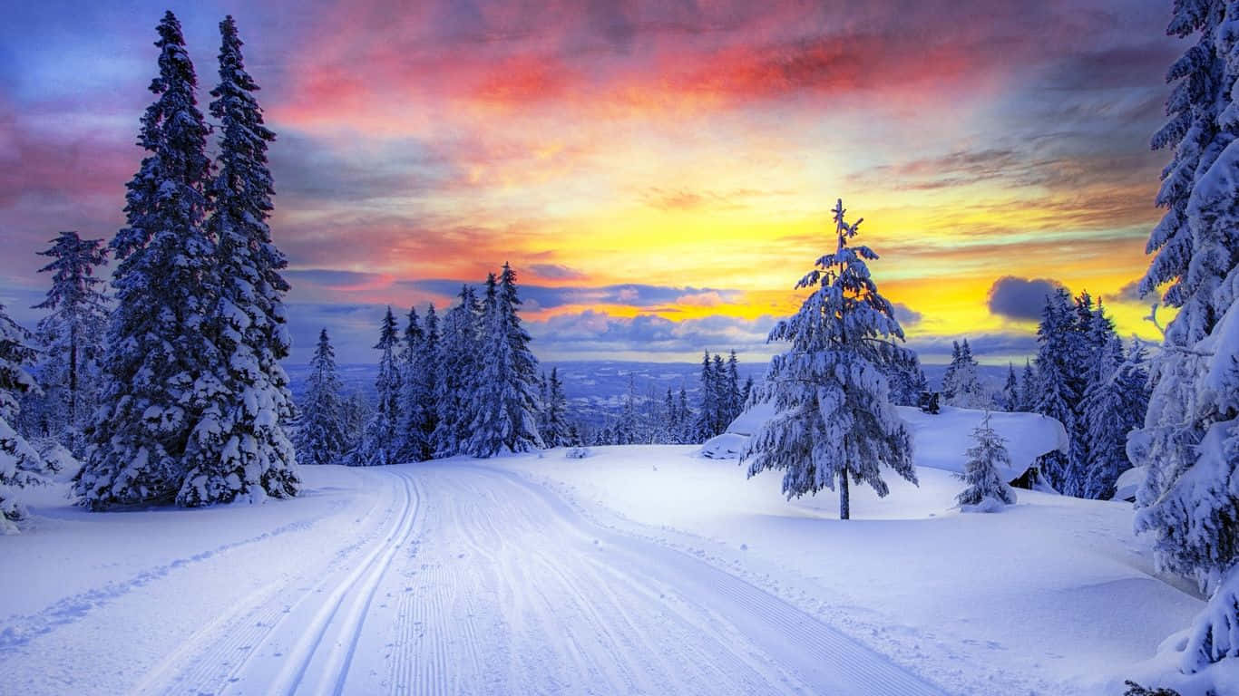 A Snow Covered Path With Trees And A Sunset Wallpaper