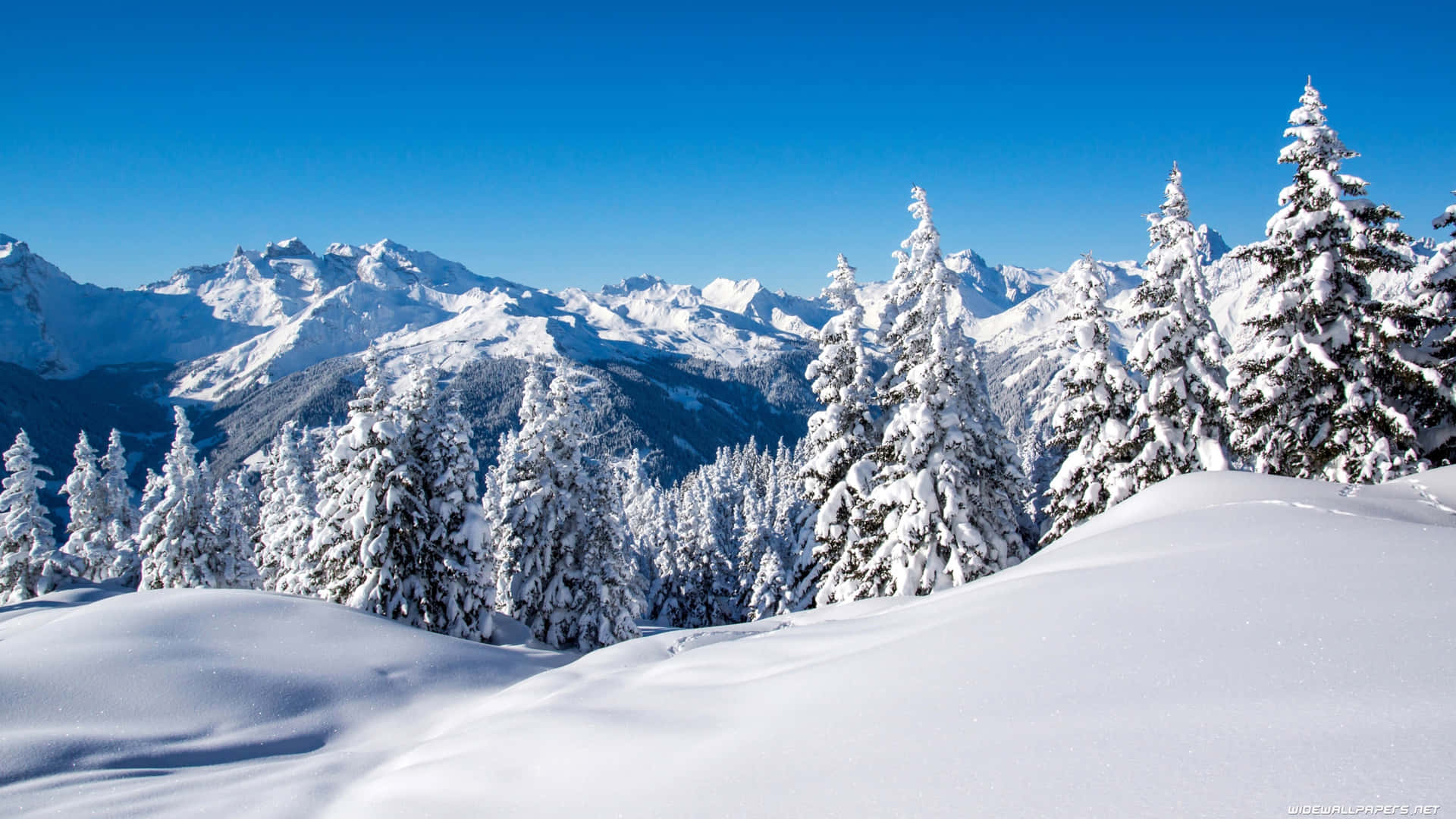 Experimentala Magia Del Invierno Con Tu Computadora Portátil Fondo de pantalla