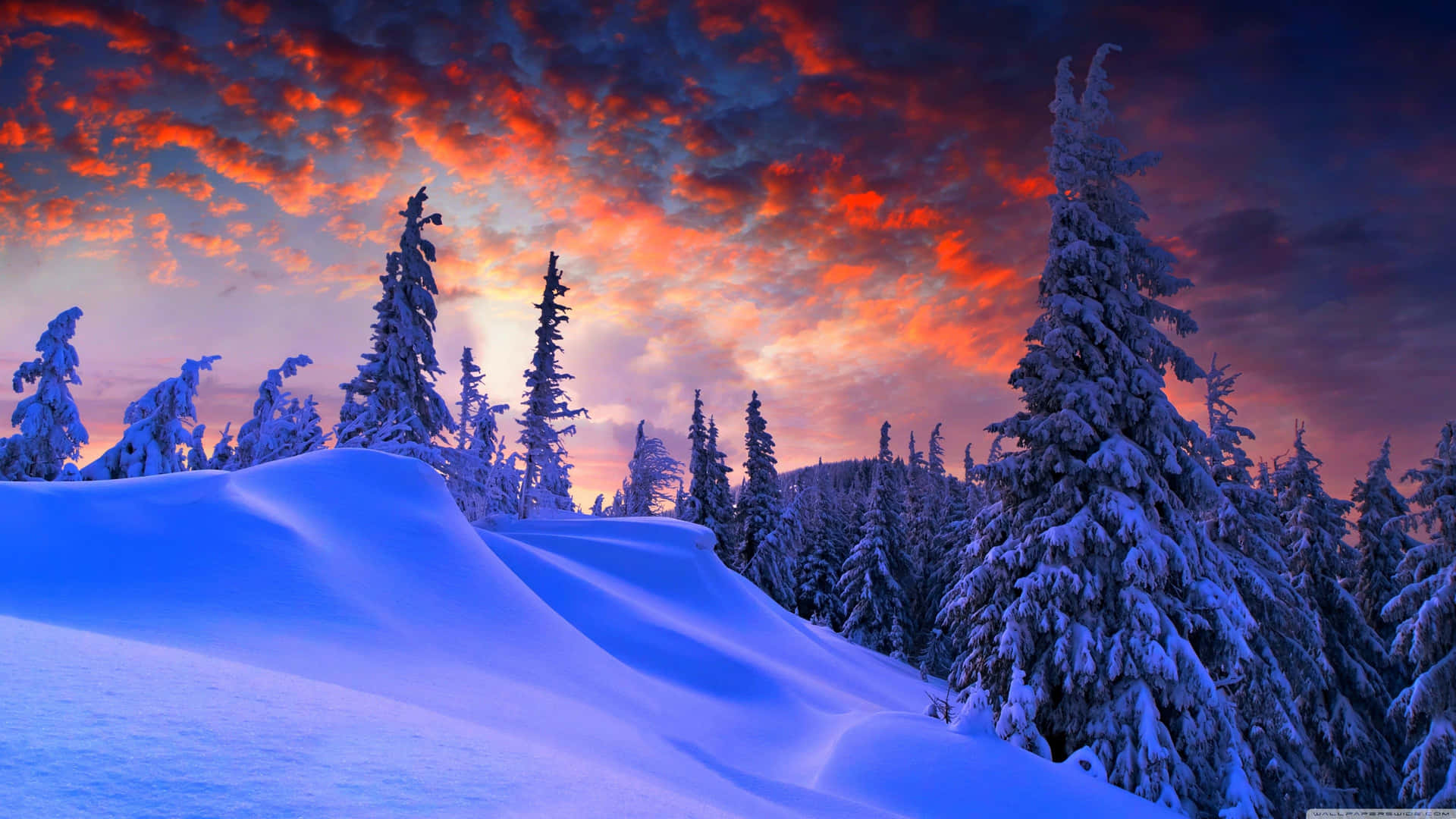 Unpaisaje Nevado Con Árboles Y Un Cielo Colorido. Fondo de pantalla