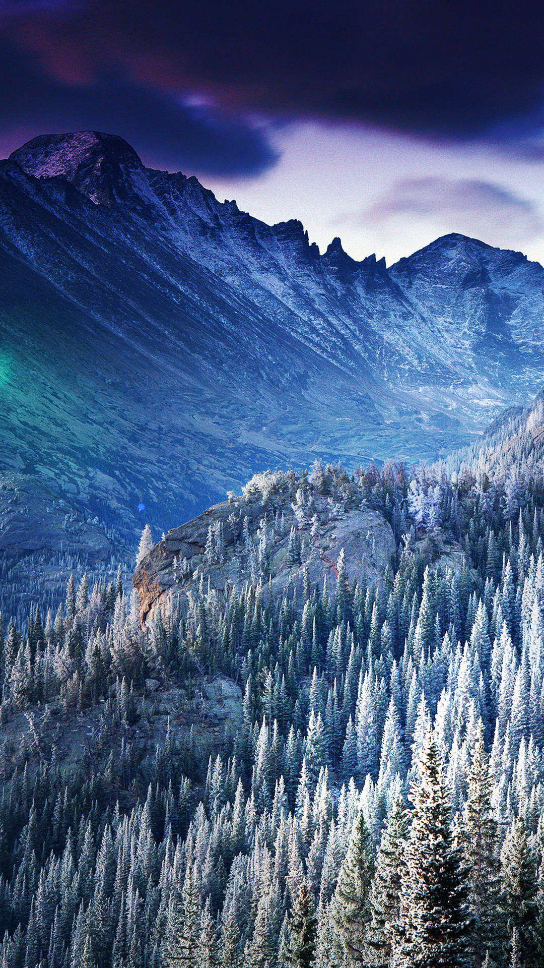 Vinter bjergkæder og træer smartphone baggrund. Wallpaper