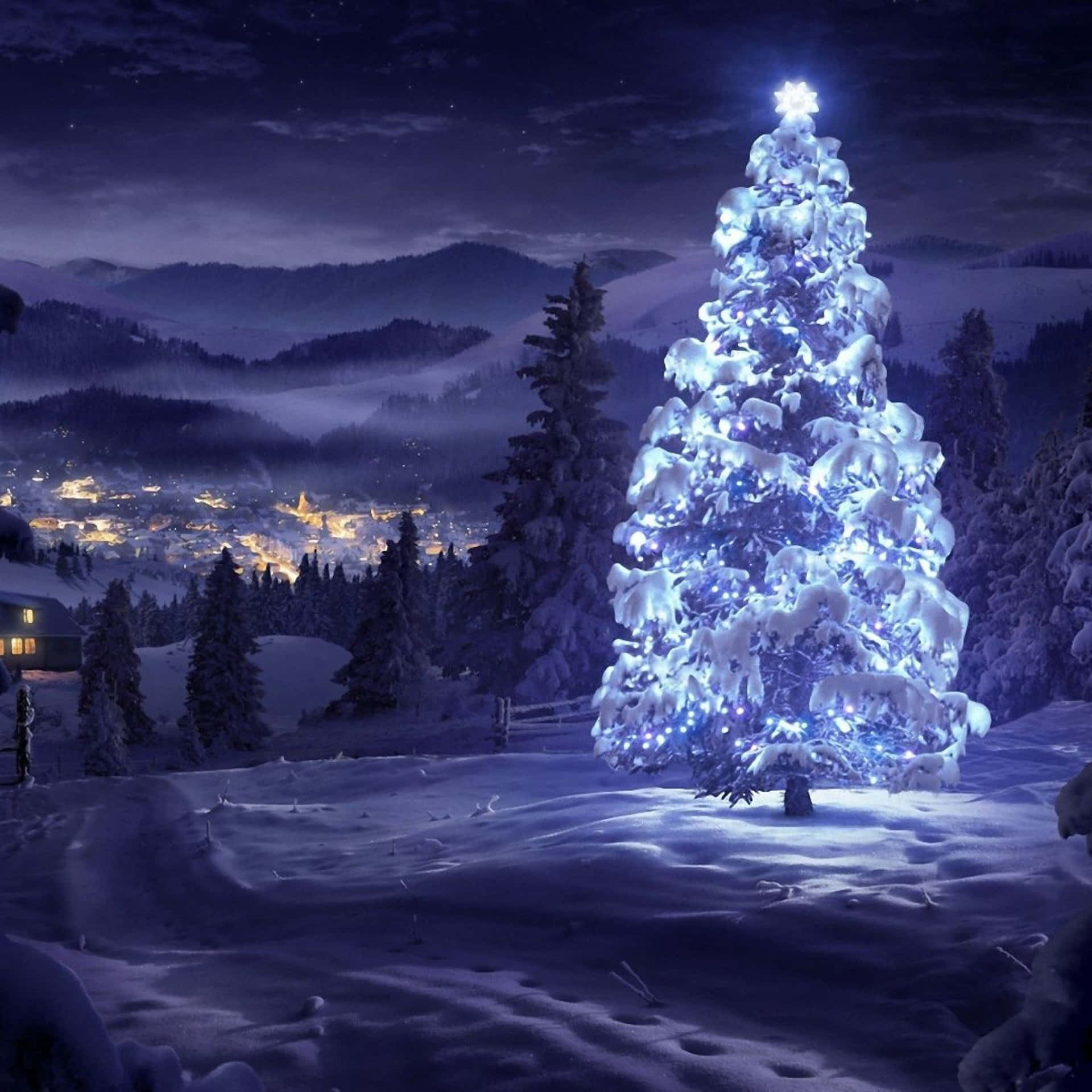 Winter Night Christmas Tree Lights Wallpaper
