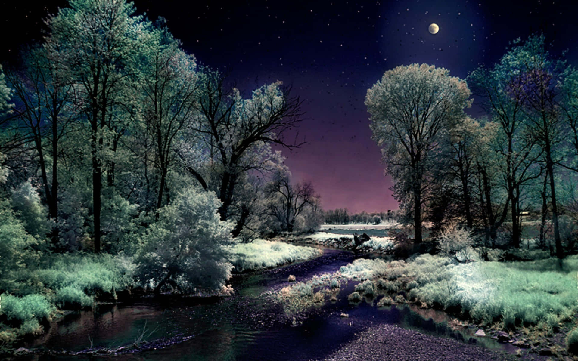 Winter Night Desktop With The Moon Shining Wallpaper