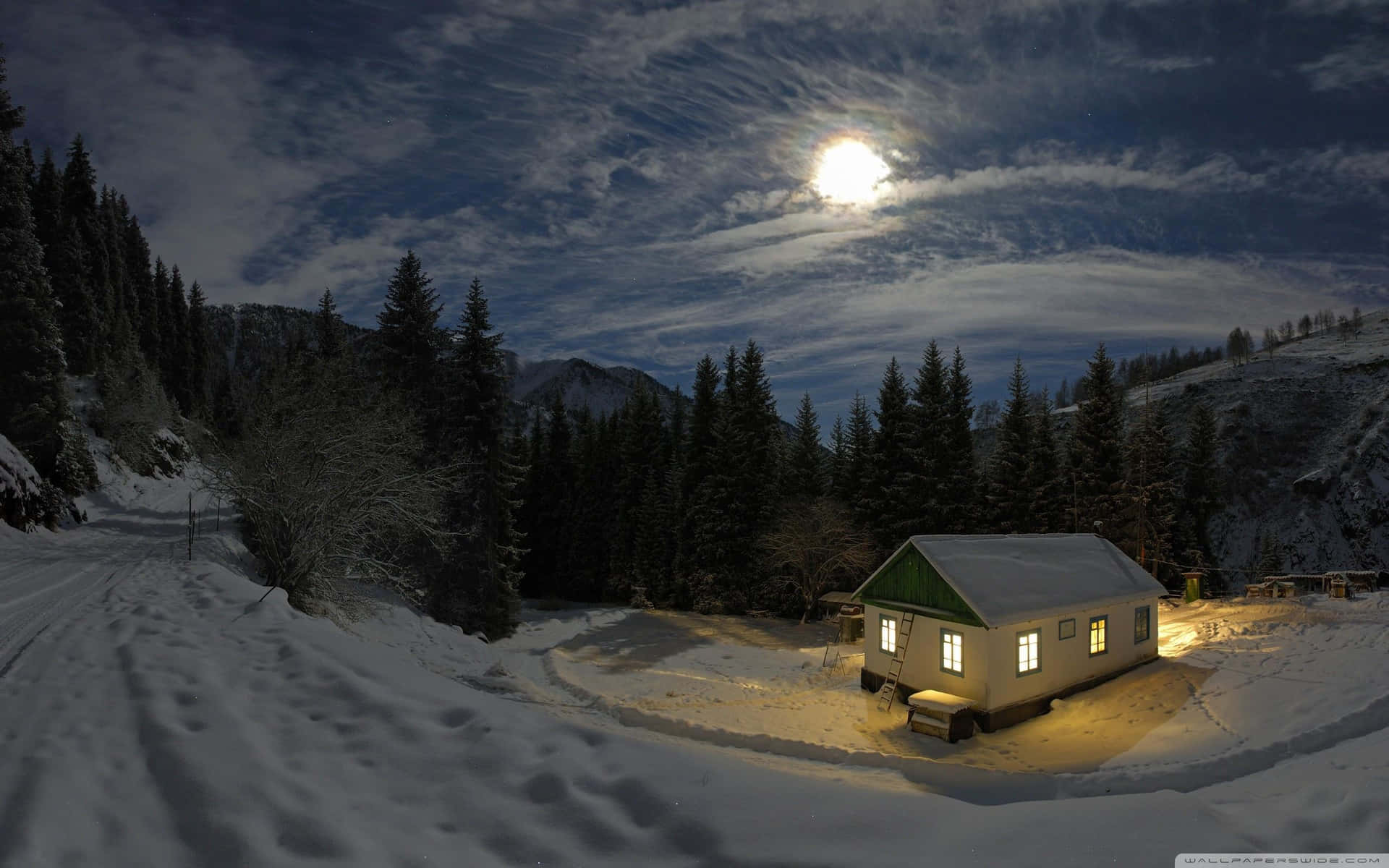 Enchanting Night in a Snowy Field Wallpaper