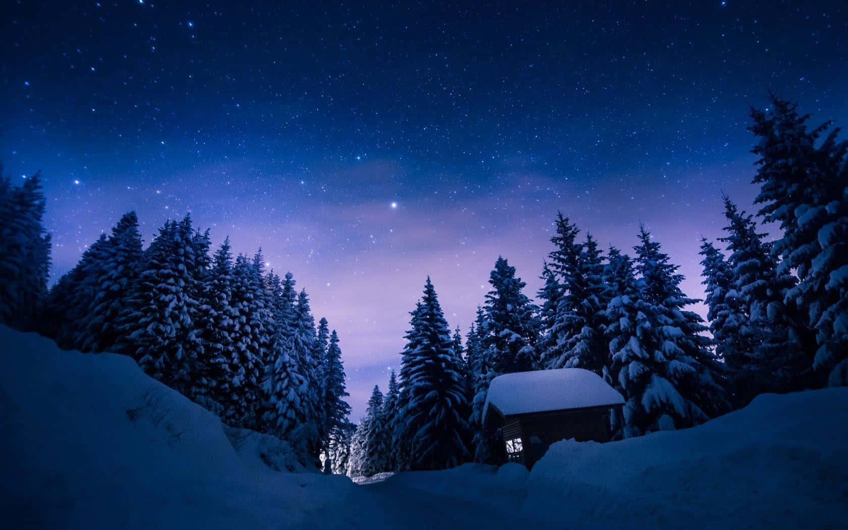 "A Sparkling Winter Night" Wallpaper