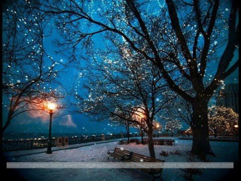 The beauty of a snow-covered winter night Wallpaper