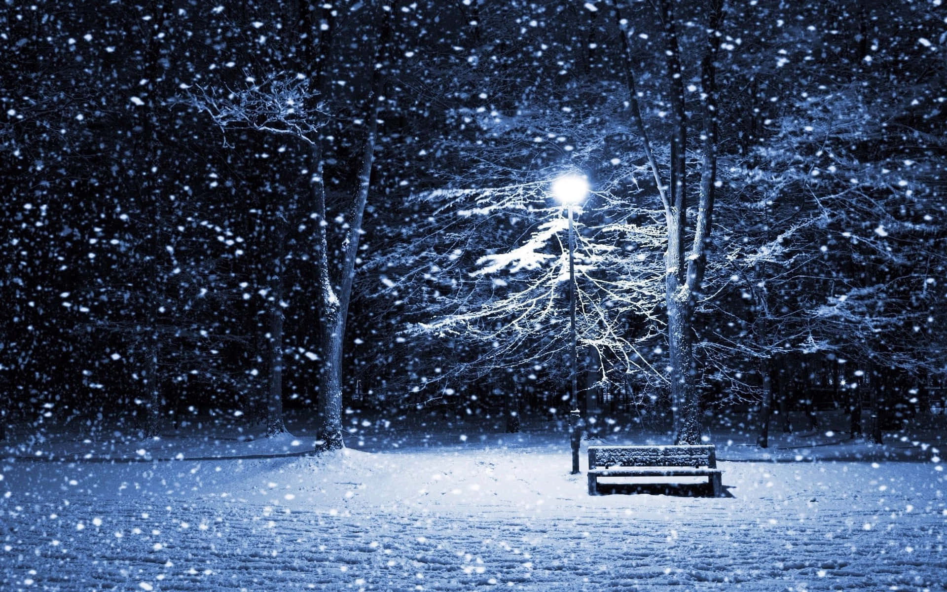 Einwunderschöner Blick Auf Eine Winterlandschaft Bei Nacht, Gemütlich Vom Eigenen Zuhause Aus Betrachtet. Wallpaper
