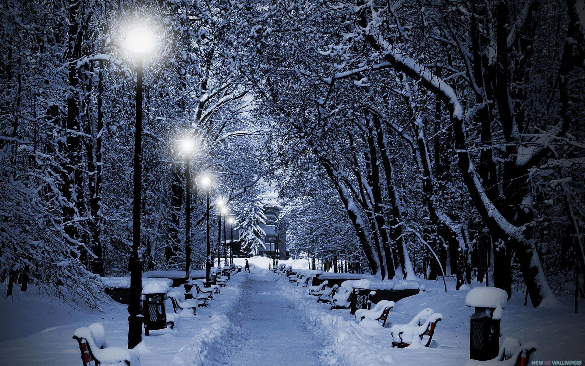 Fondode Pantalla De Noche De Invierno Con Un Camino Cubierto De Nieve Fondo de pantalla