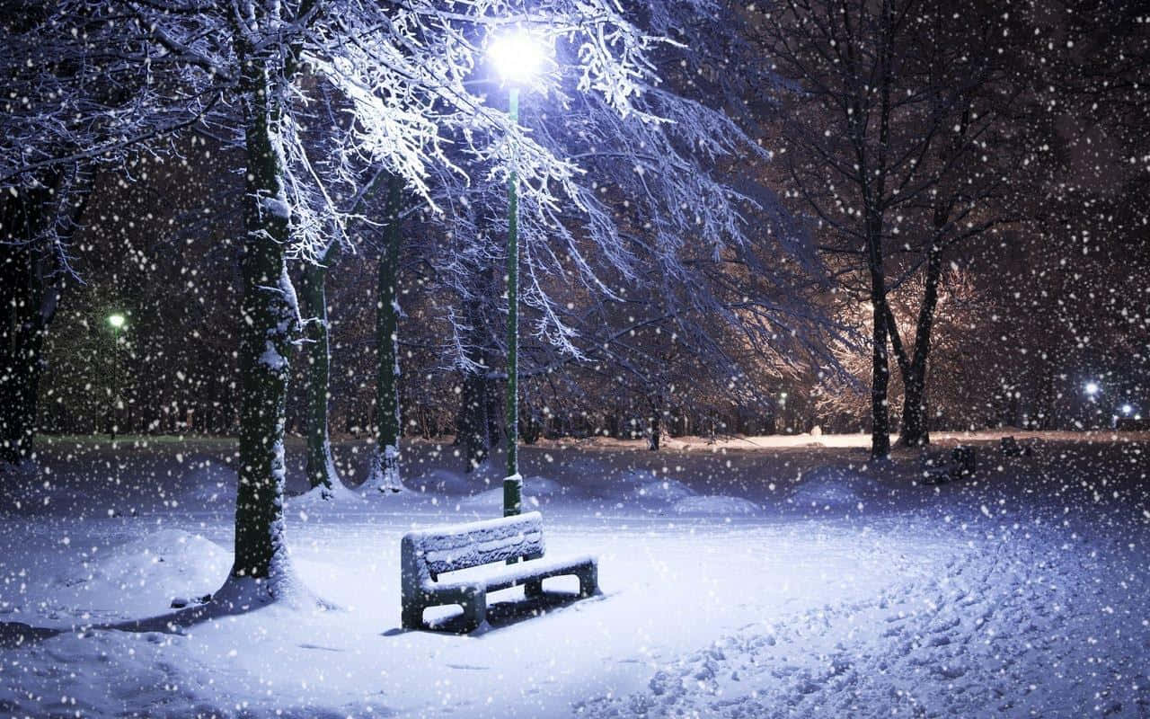 Diemajestätische Schönheit Einer Winterlichen Nacht Wallpaper