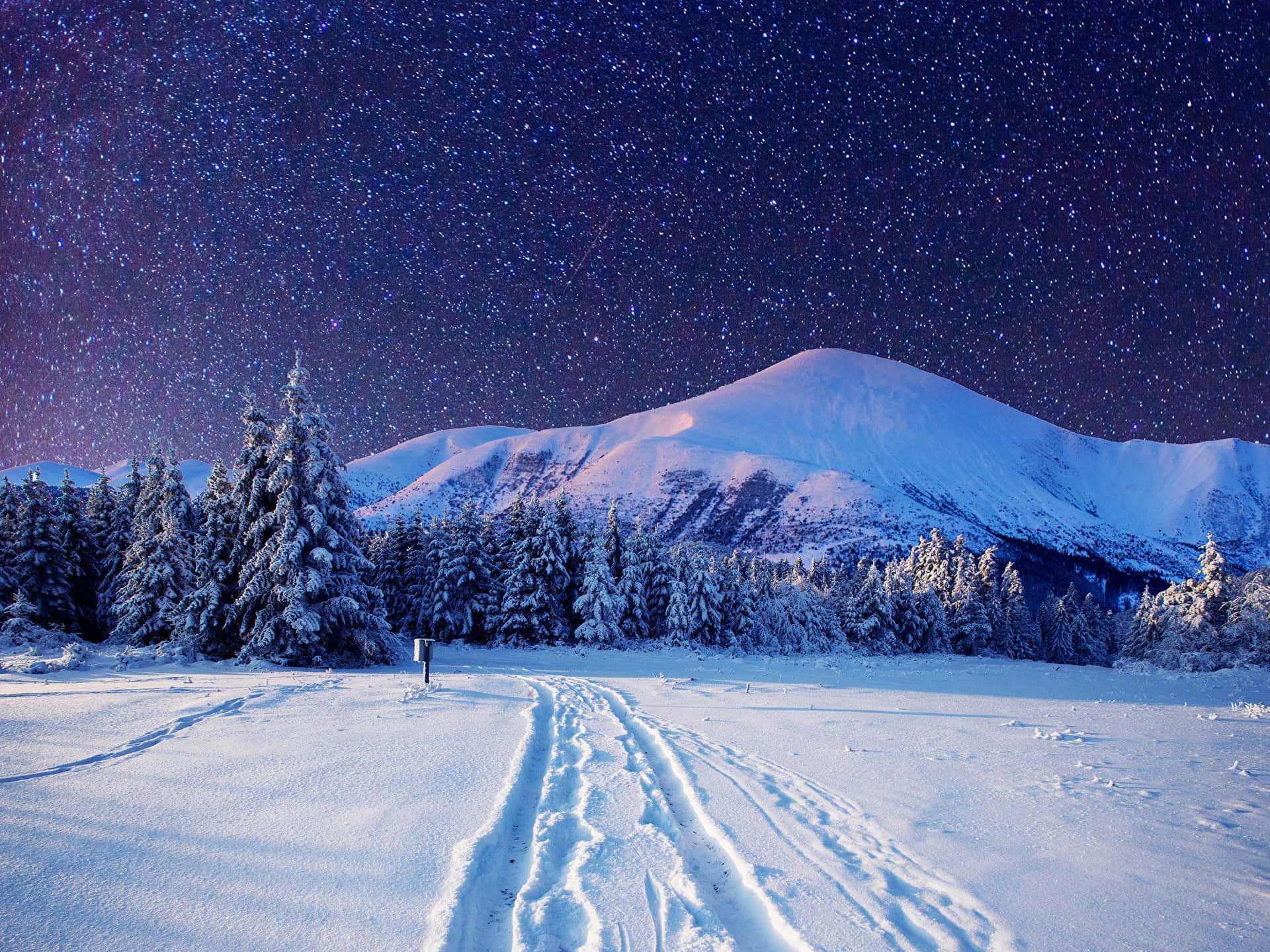 Fondode Pantalla De Noche Invernal Con Huellas En La Nieve De Escritorio. Fondo de pantalla