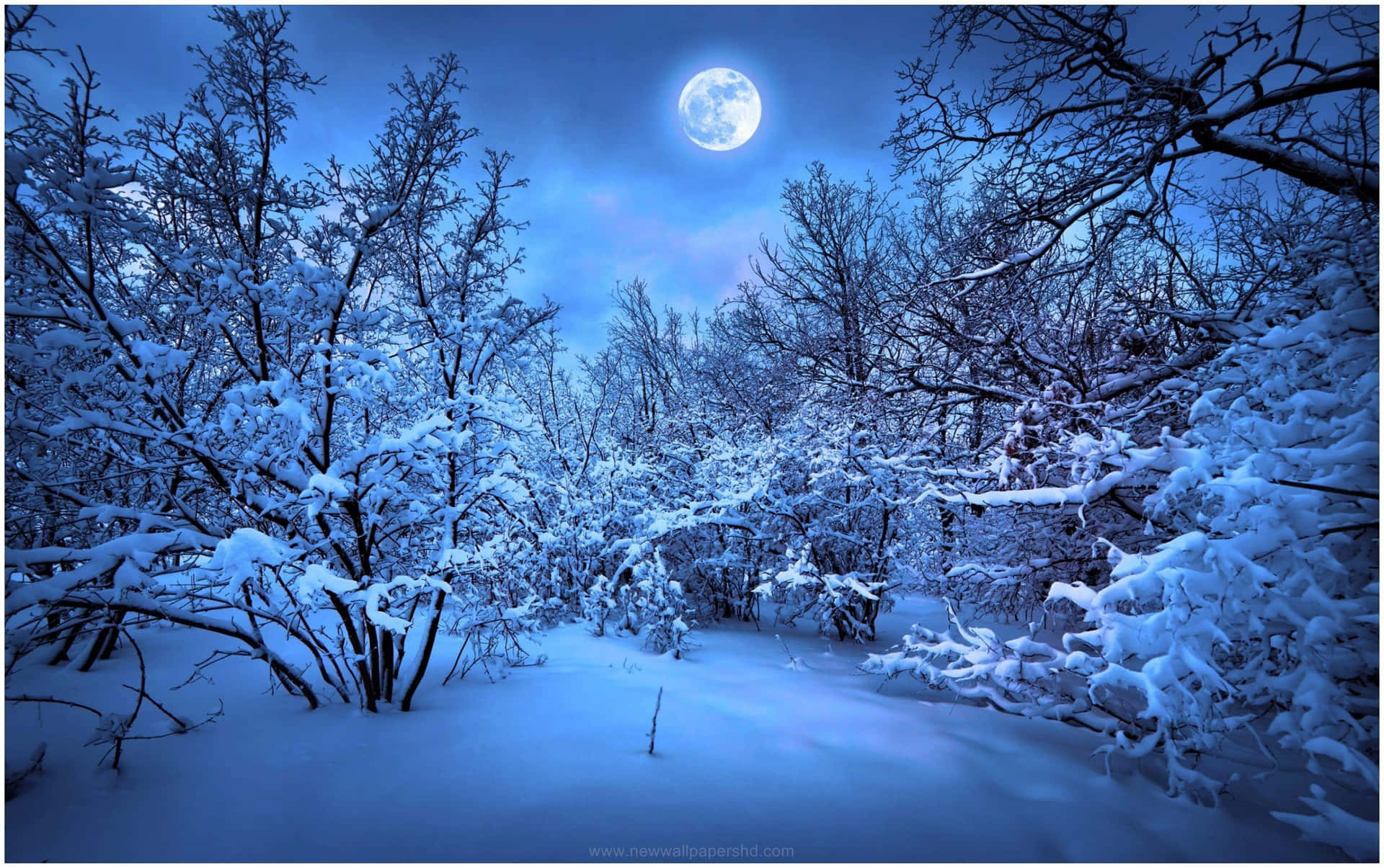 Winter Night Desktop With A Full Moon Wallpaper