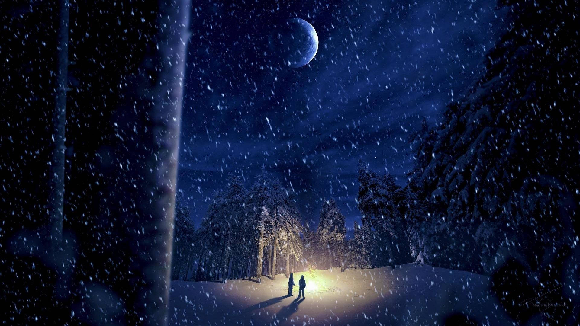 Winternachtwald Im Mondlicht Wallpaper