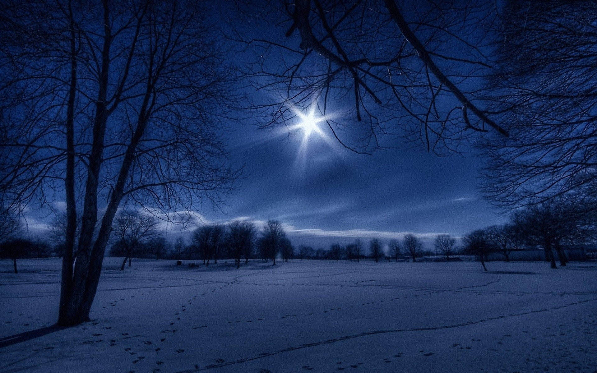 Winter Night In Moonlight Landscape Wallpaper