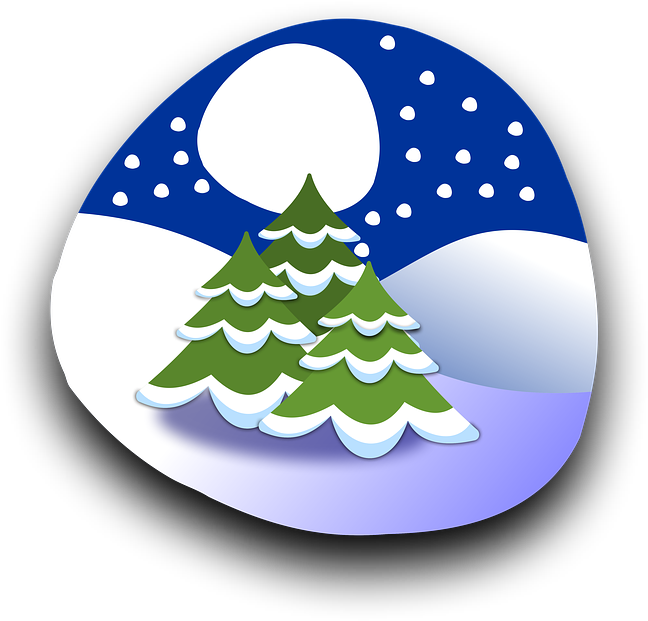 Winter Night Snowy Pine Trees PNG