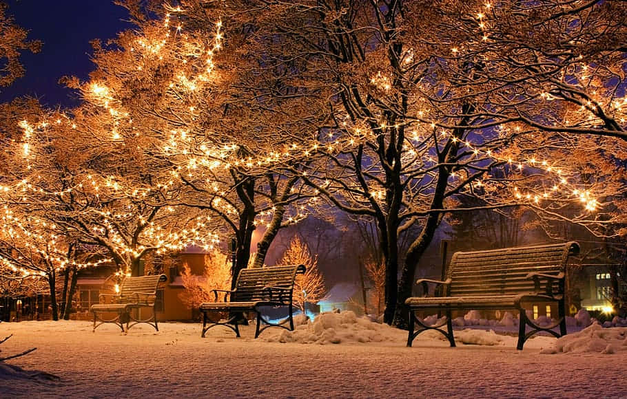 Winter_ Night_ Sparkle.jpg Wallpaper