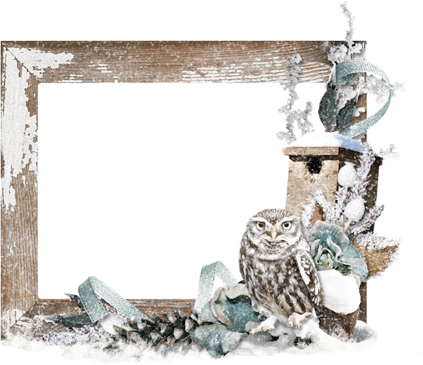 Winter Owl Frame Decoration PNG