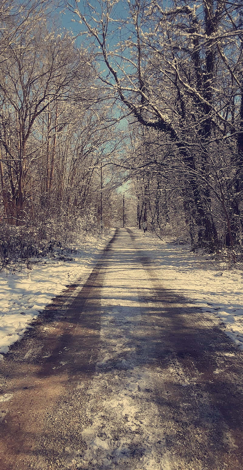 Winter Path Through Woods.jpg Wallpaper