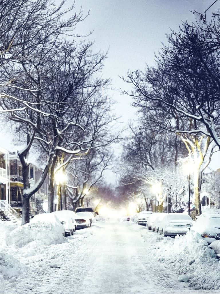 Enjoy the serenity of wintertime with this stunning winter-themed phone background.