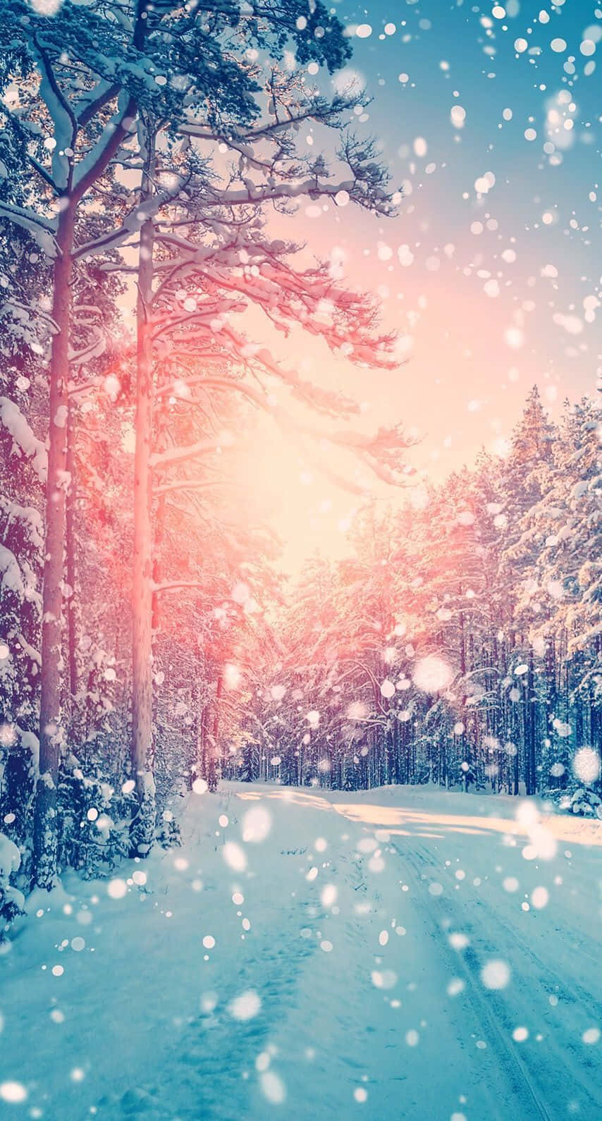 Cozy Winter Wonderland on Your Phone Screen
