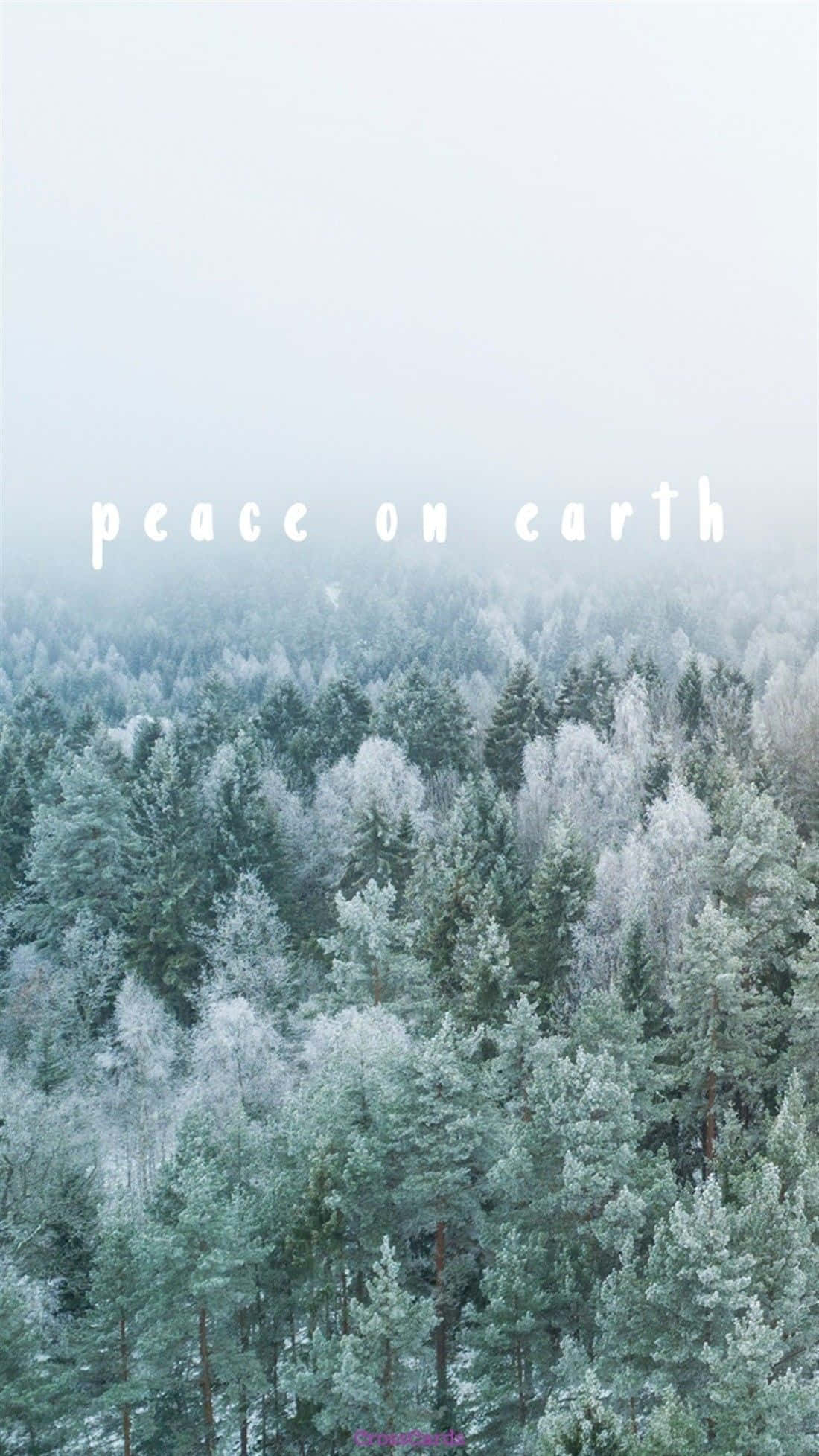 Peace On Earth - A Photo Of Trees And Snow