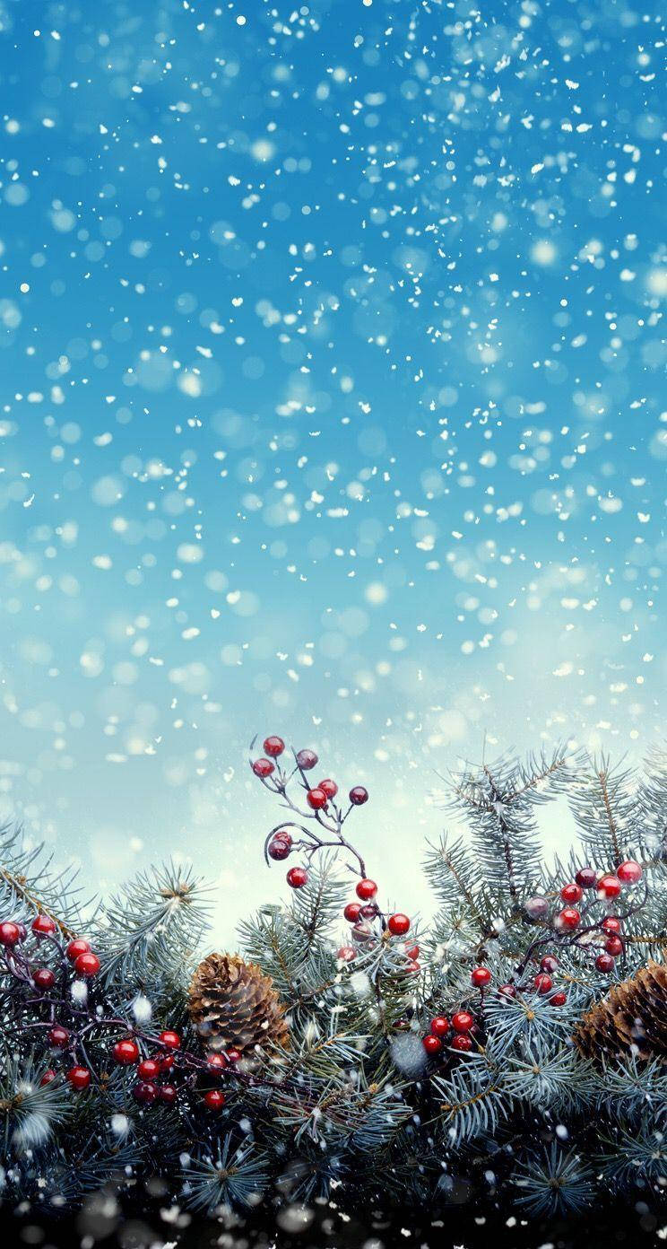 Winter Phone Christmas Fruits Background