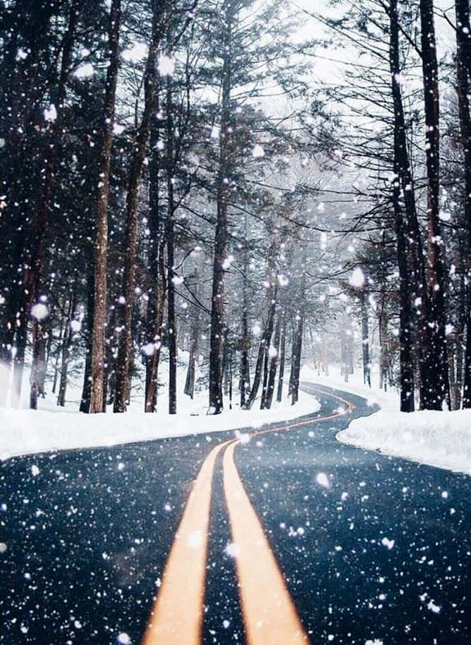 Maravillainvernal: Un Camino Nevado En El Bosque. Fondo de pantalla