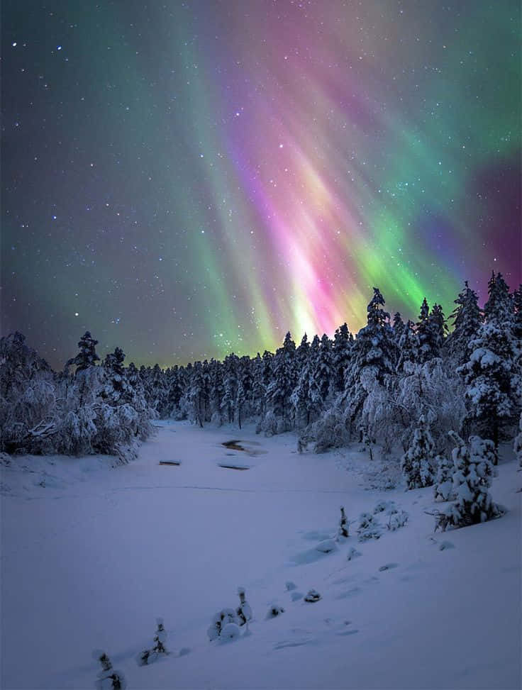 Abrazandola Belleza De Un Paraíso Invernal. Fondo de pantalla