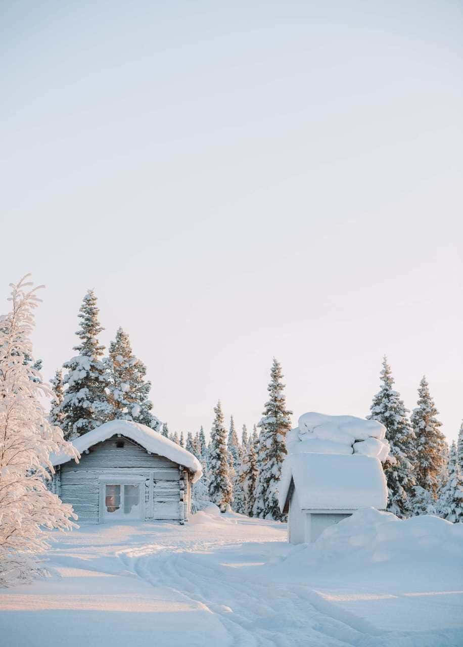 Stunning Winter Wonderland Wallpaper
