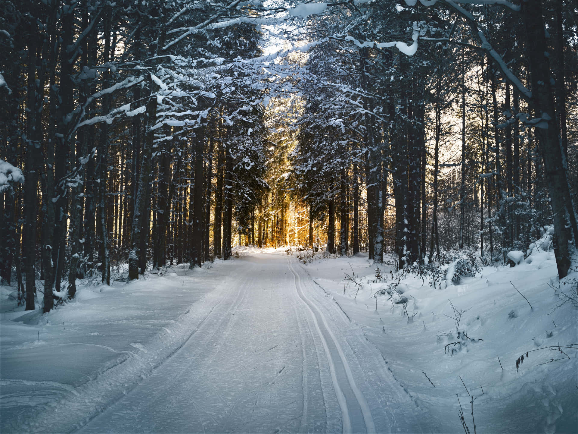 Bildvom Winterlichen Sonnenuntergang Im Wald