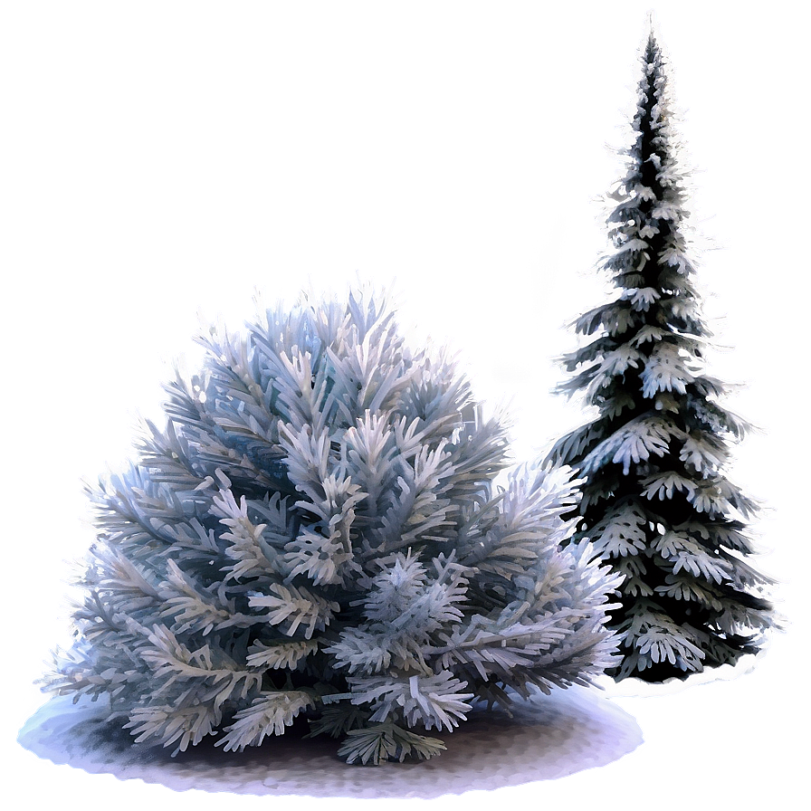 Winter Pine Tree Scene Png 46 PNG