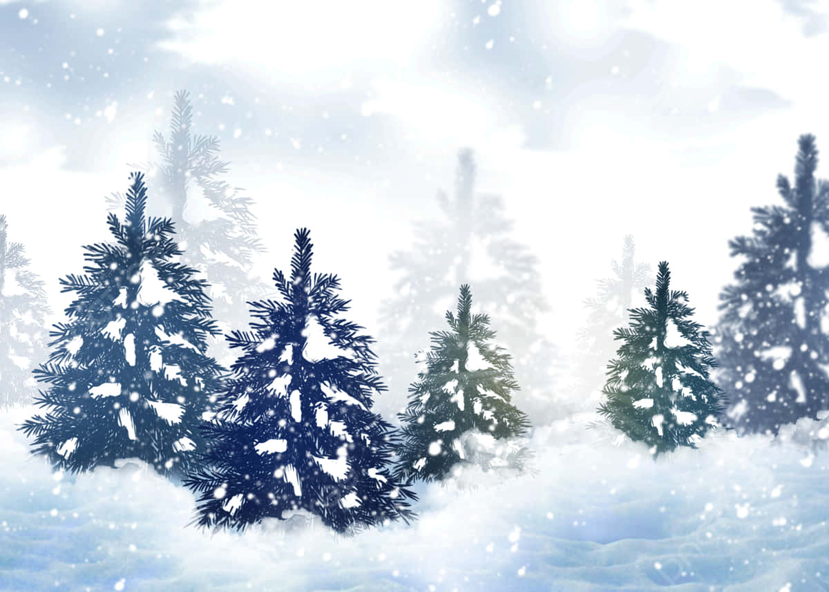 Winter_ Pine_ Trees_in_ Snowfall.jpg Wallpaper