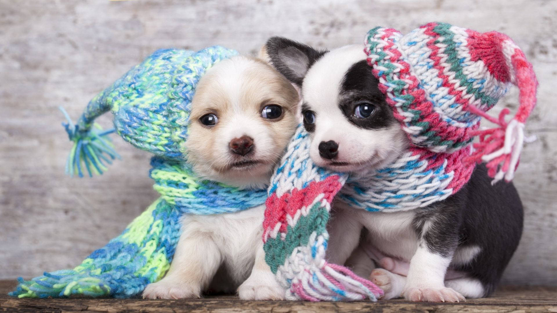 Vinterhunde er et farverigt akvarel-landskab klæbepapir. Wallpaper