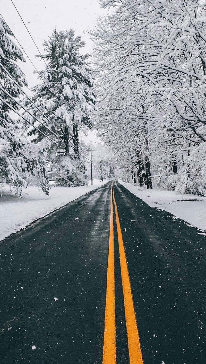 Winter Road Snowy Trees.jpg Wallpaper