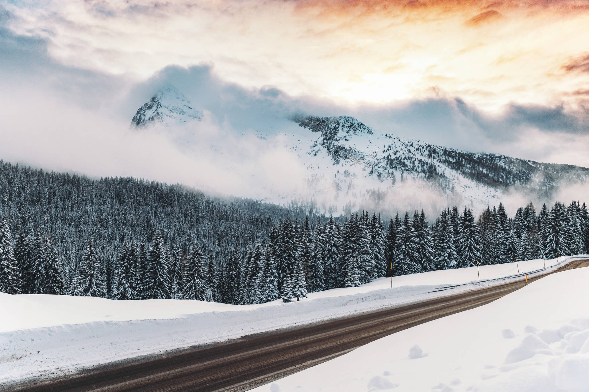 Winter Roadside View Wallpaper