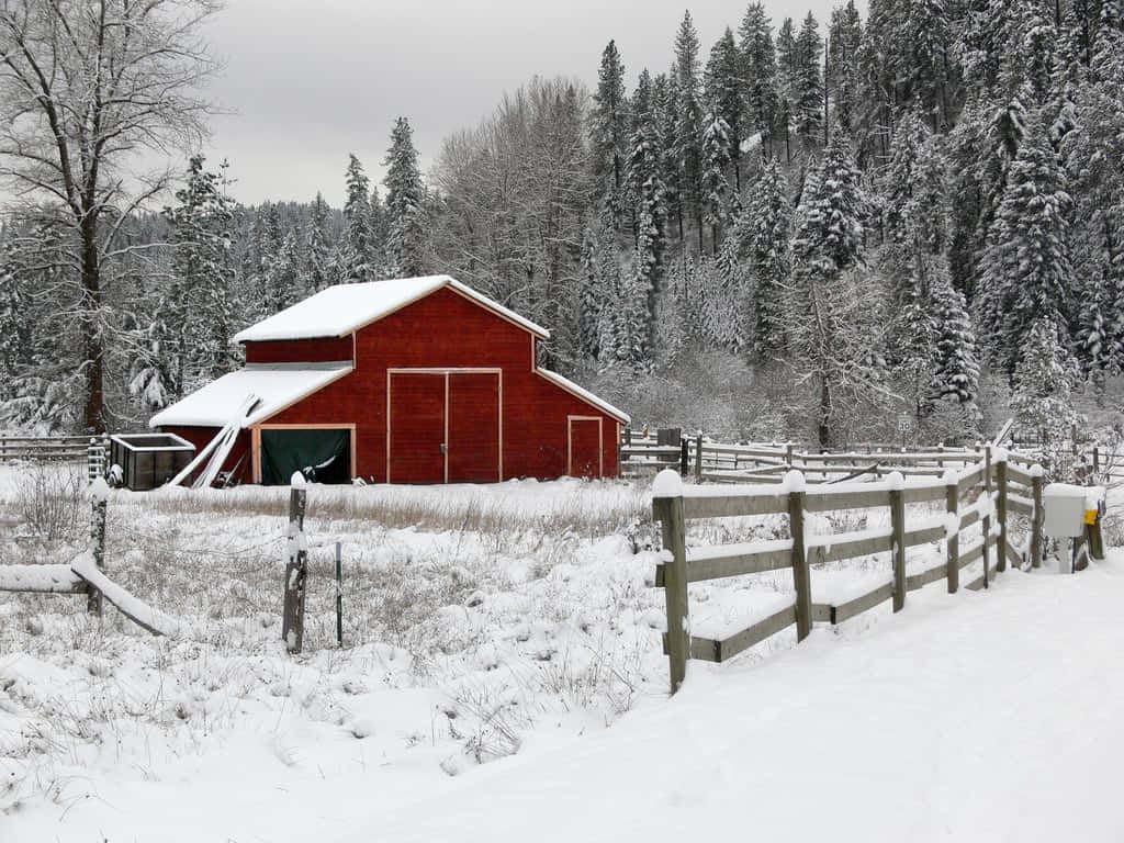 Enjoy a Serene Moment in a Cozy Winter Scene