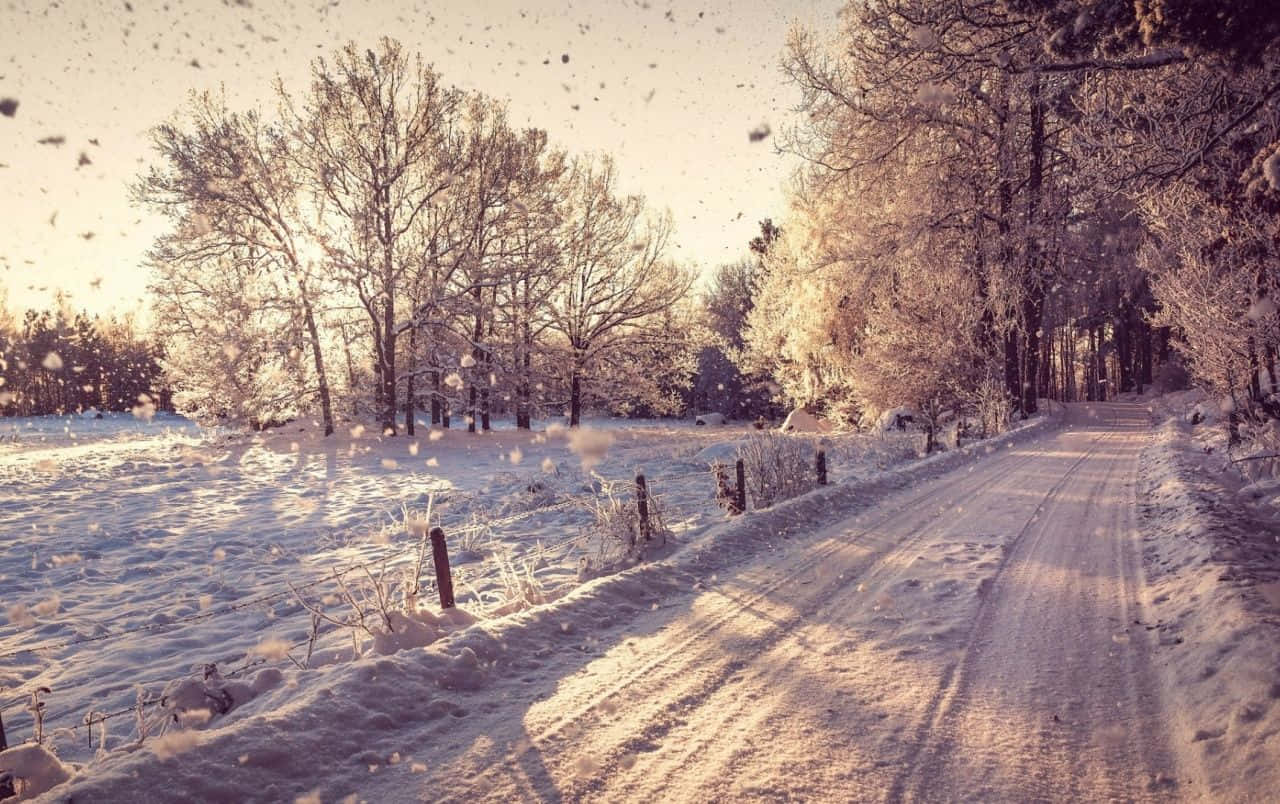 A beautiful winter scene in the woods
