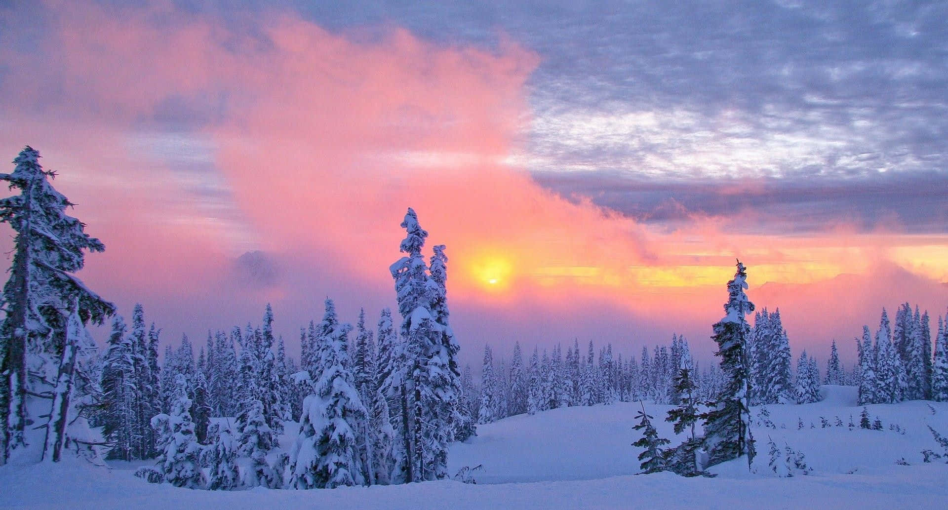 Einewunderschöne Winterlandschaft, Eingehüllt In Schnee Und Von Sonnenstrahlen Besprüht.