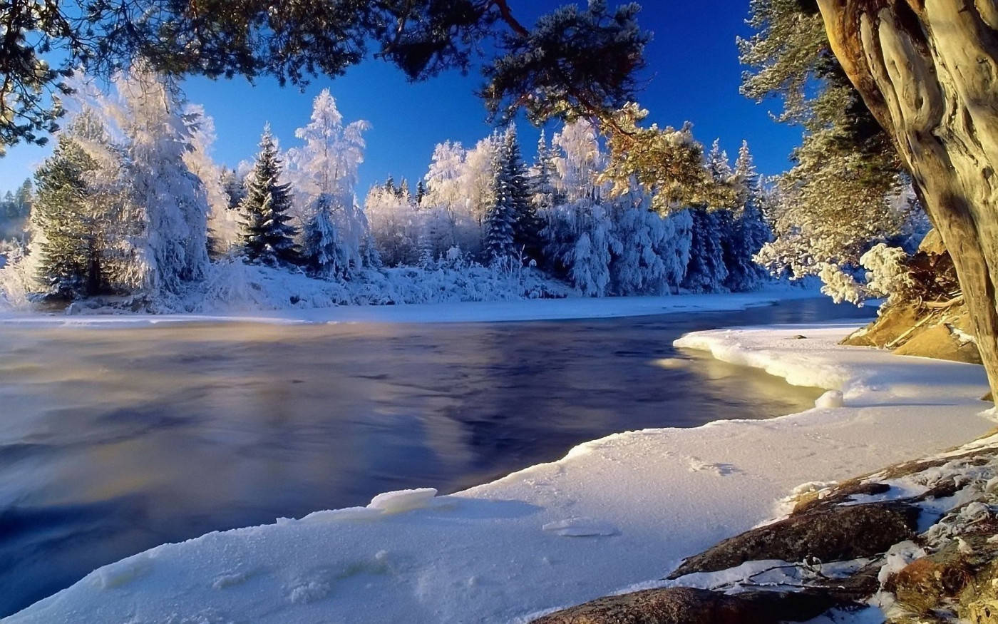 Winter Scene Frozen Landscape Wallpaper