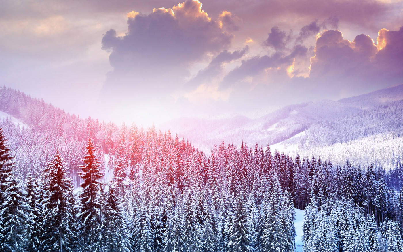 Winter Scene Purple Hue Wallpaper