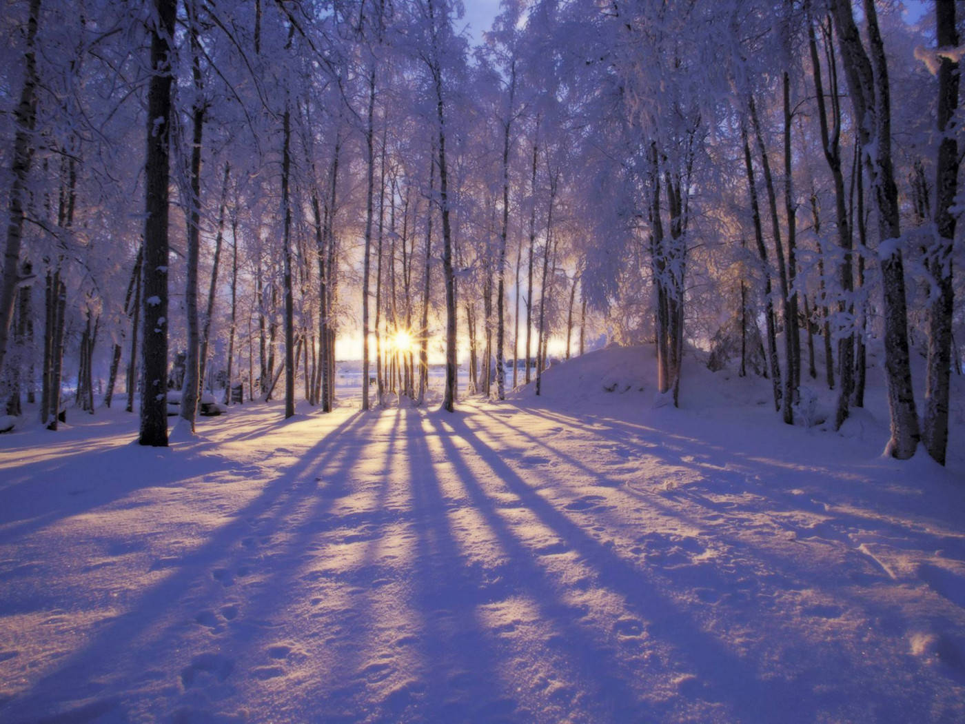 Winter Scene Sunray Wallpaper