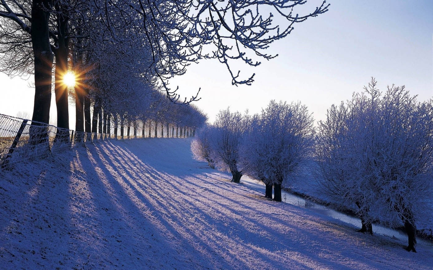 Winter Scene Sunrise Wallpaper
