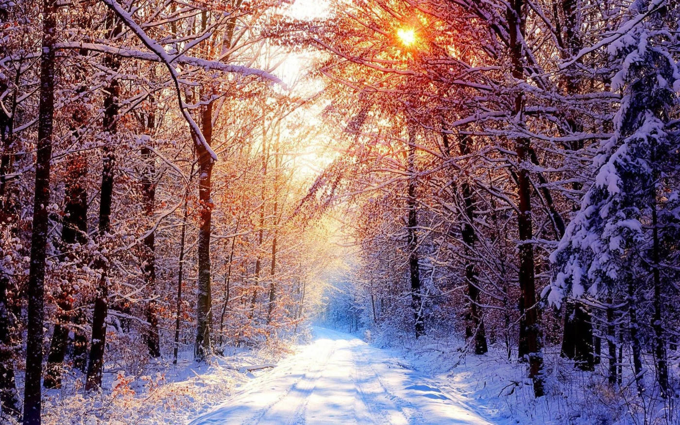 Winter Scene Warm Sun Wallpaper