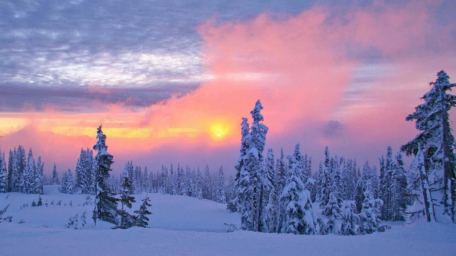 Paisajeinvernal Pintoresco Cubierto De Nieve. Fondo de pantalla