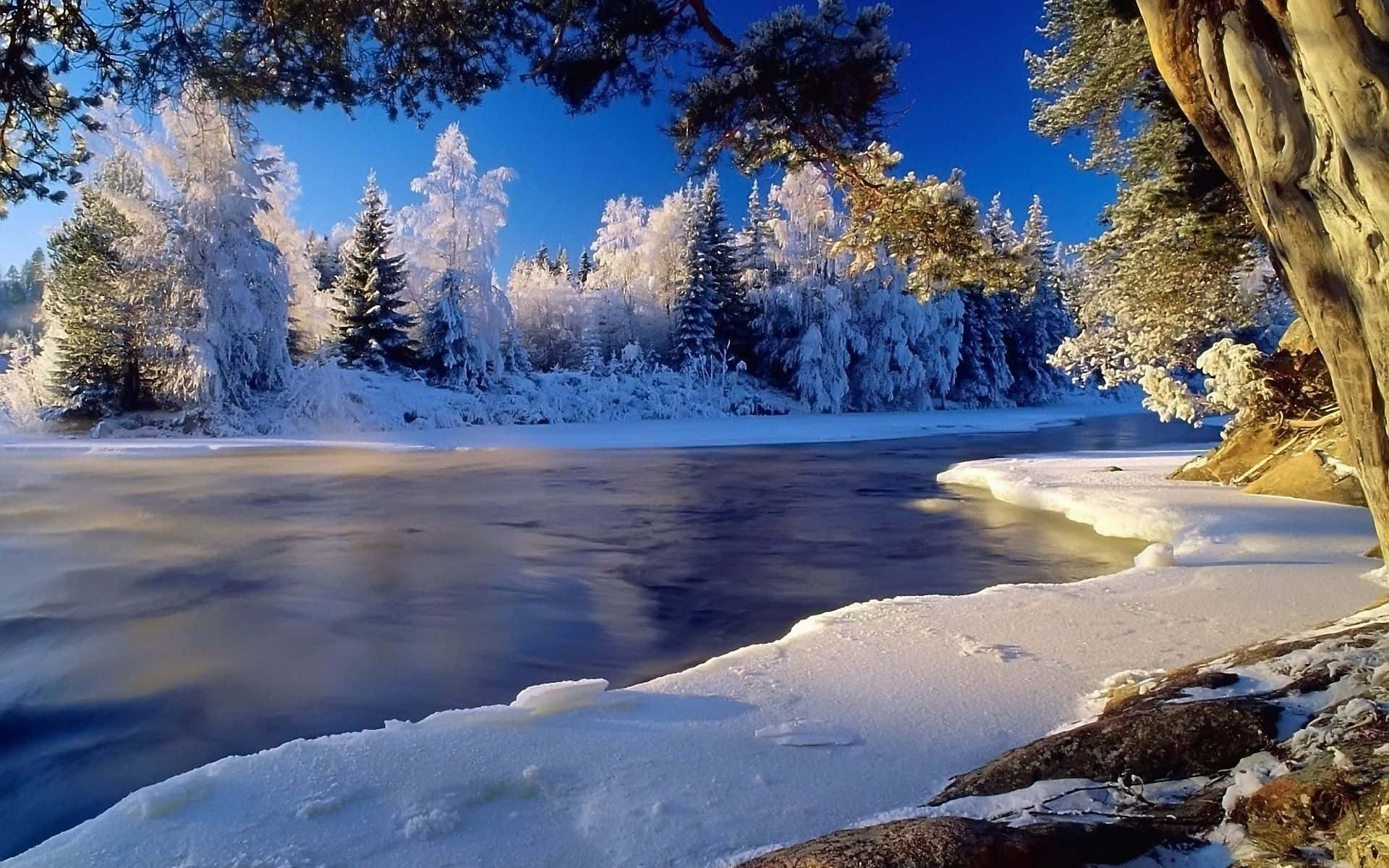 Frozen Forest River Winter Scenery Desktop Wallpaper