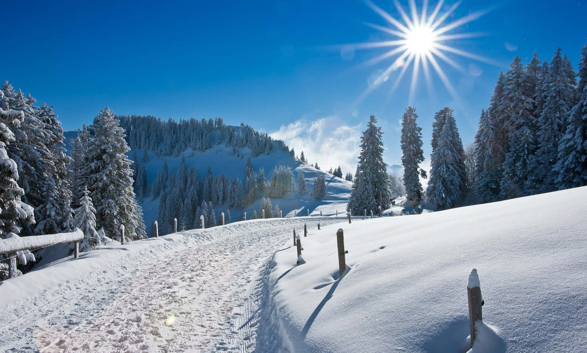 Snow-covered Path Winter Scenery Desktop Wallpaper
